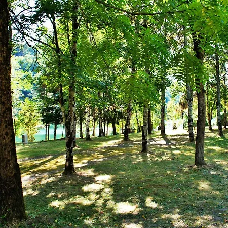 Domaine L'ecrin Vert 营地 Brasc